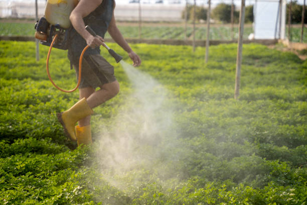 Professional Pest Control in Alexandria, IN