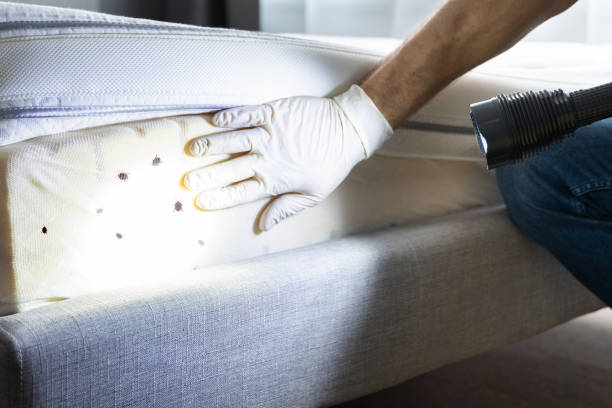 Best Pest Prevention Services  in Alexandria, IN