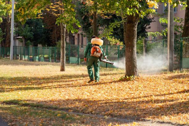 Best Mosquito Control Services  in Alexandria, IN