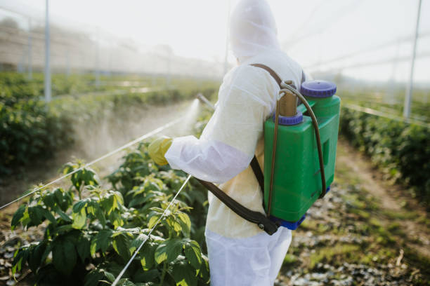 Best Best Pest Control Companies  in Alexandria, IN